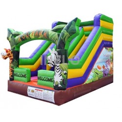 Inflatable bouncer IF-2004